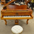 1906 Mehlin & Sons grand - Grand Pianos